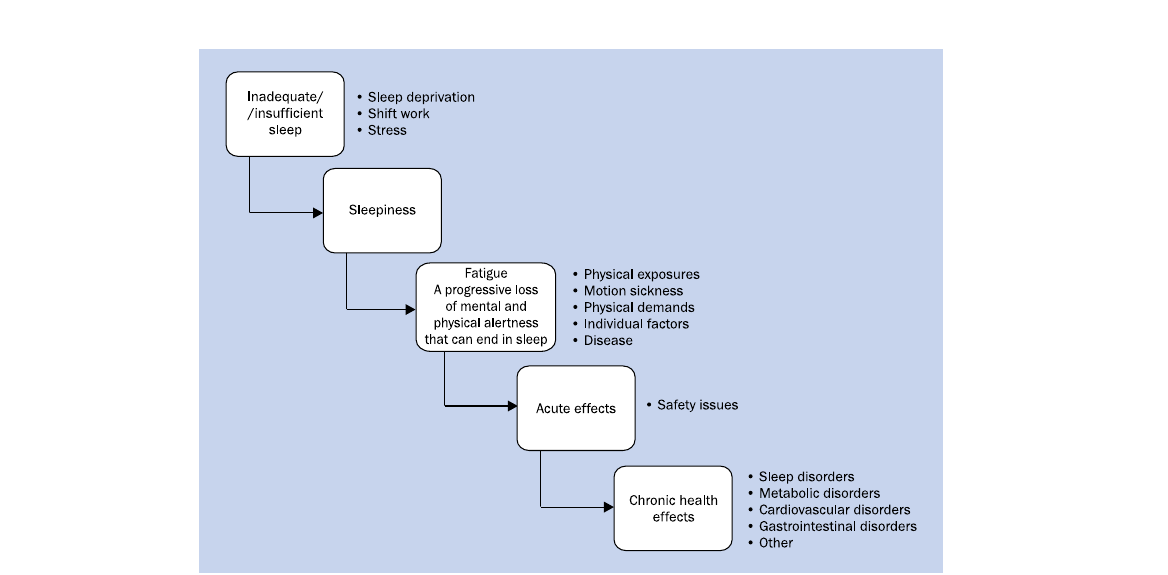Figure 1: Diagram illustrating the main determinants and outcomes of fatigue — inadequate sleep and sleepiness feed fatigue, which produces acute (safety) effects and chronic health effects (Jepsen, Zhao & van Leeuwen, 2015, PDF p. 3, orig. p. 108).